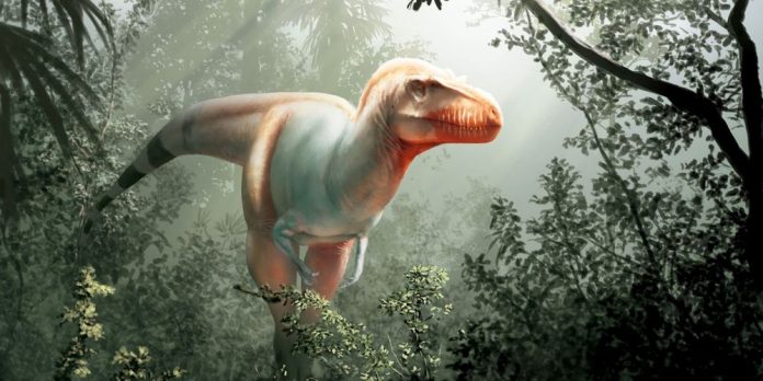 Découverte d'un dinosaure lointain cousin du T-Rex au Canada