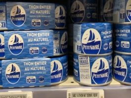 "Un poison extrêmement dangereux": une ONG alerte sur le thon dans nos assiettes