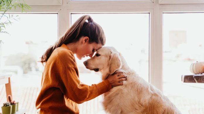 En France, les propriétaires de chiens seront-ils un jour taxés comme en Allemagne ?