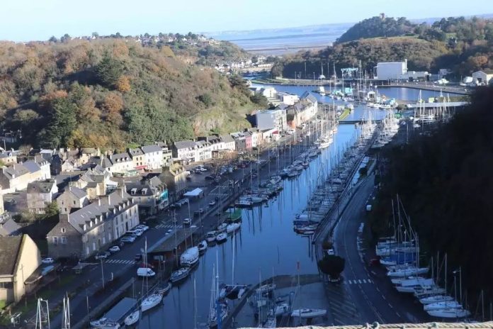 « Il n’y a pas de secret » : des compléments alimentaires russes débarqués au port de Saint-Brieuc