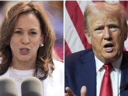 Les Dernières Informations sur l'Élection Américaine 2024 : Harris et Trump dans une Course Indécise