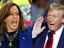 Dernier sondage USA 2024 : Kamala Harris en tête à l'approche des élections américaines